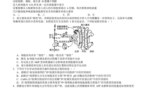 山东省枣庄市第三中学2024届高三上学期10月月考生物(1)_2023年10月_01每日更新_23号_2024届山东省枣庄市第三中学高三上学期10月月考