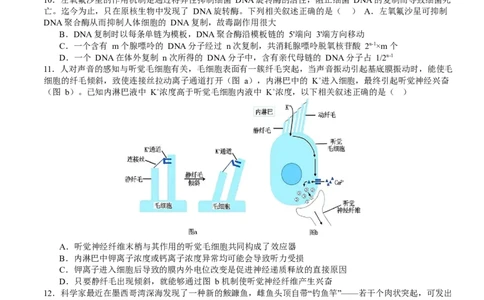 山东省枣庄市第三中学2024届高三上学期10月月考生物(1)_2023年10月_01每日更新_23号_2024届山东省枣庄市第三中学高三上学期10月月考