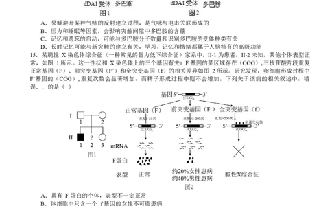 山东省枣庄市第三中学2024届高三上学期10月月考生物(1)_2023年10月_01每日更新_23号_2024届山东省枣庄市第三中学高三上学期10月月考