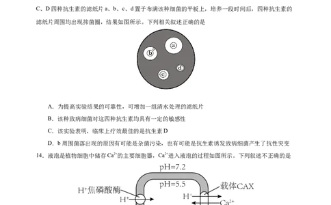 生物-2024届新高三开学摸底考试卷（广东专用）(考试版)_2024届新高三开学摸底考试卷_生物-2024届新高三开学摸底考试卷_生物-2024届新高三开学摸底考试卷（广东专用）