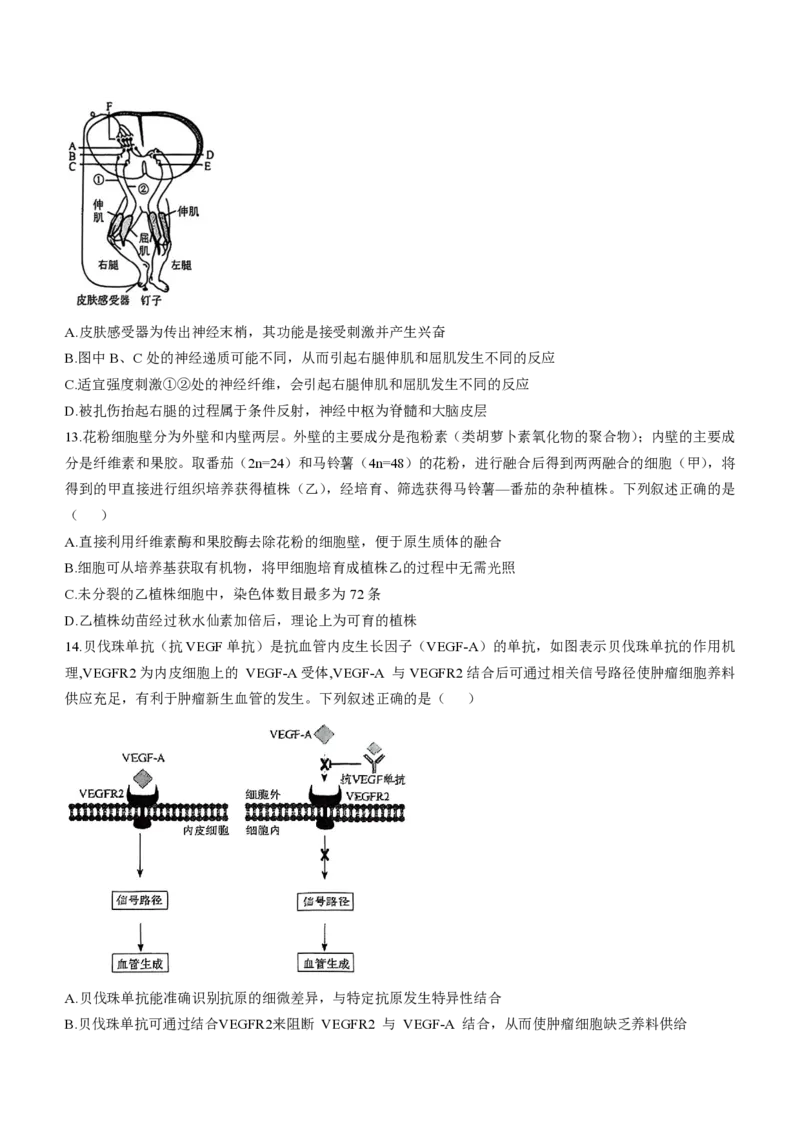 辽宁省名校联盟2025届高三下学期高考模拟押题卷生物学（三）试题（有解析）_2025年5月_250506辽宁省名校联盟2025年高考模拟卷押题卷（数物化生）