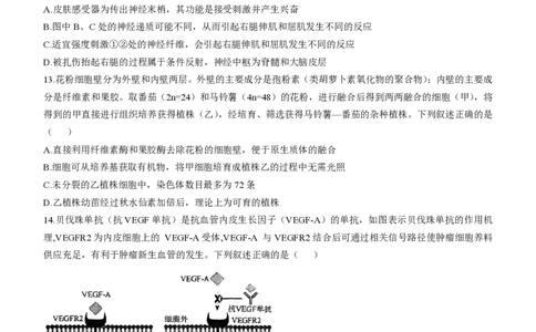 辽宁省名校联盟2025届高三下学期高考模拟押题卷生物学（三）试题（有解析）_2025年5月_250506辽宁省名校联盟2025年高考模拟卷押题卷（数物化生）