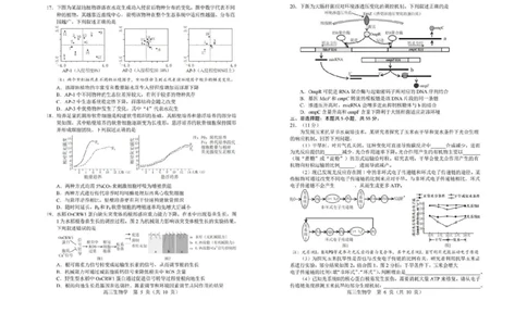 生物试卷-2026年沈阳市高中三年级教学质量监测(一)(1)_2026年1月_260117辽宁省沈阳市2026届高中三年级高三教学质量监测（一）（沈阳一模）（全科）