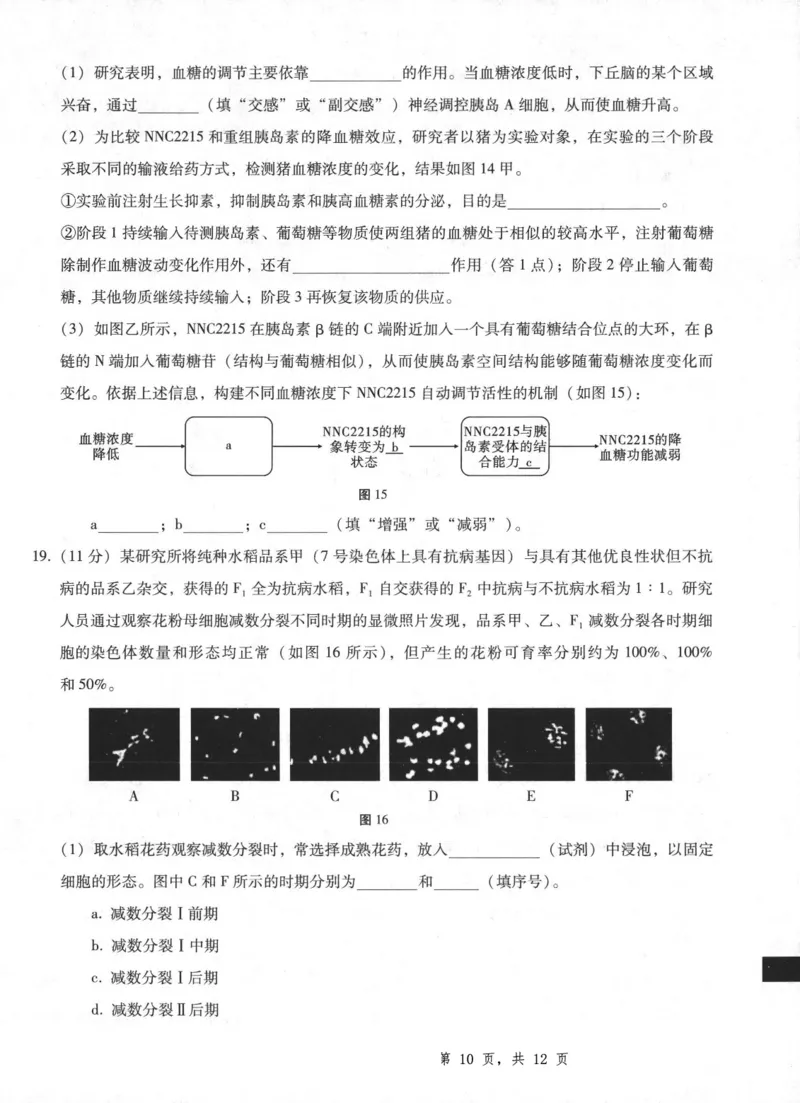 重庆市第八中学2025届高三5月适应性月考卷（八）生物_2025年5月_250528重庆市第八中学2025届高三5月适应性月考卷（八）（全科）