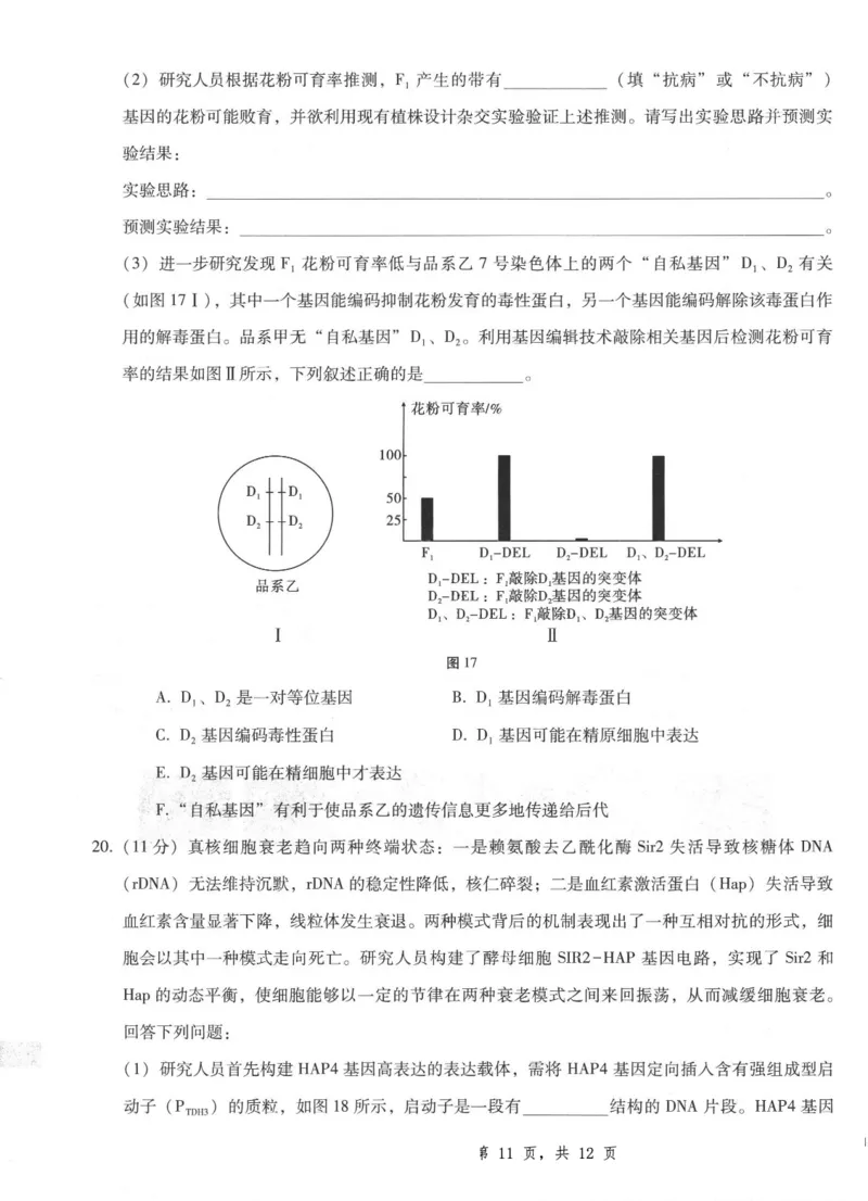 重庆市第八中学2025届高三5月适应性月考卷（八）生物_2025年5月_250528重庆市第八中学2025届高三5月适应性月考卷（八）（全科）