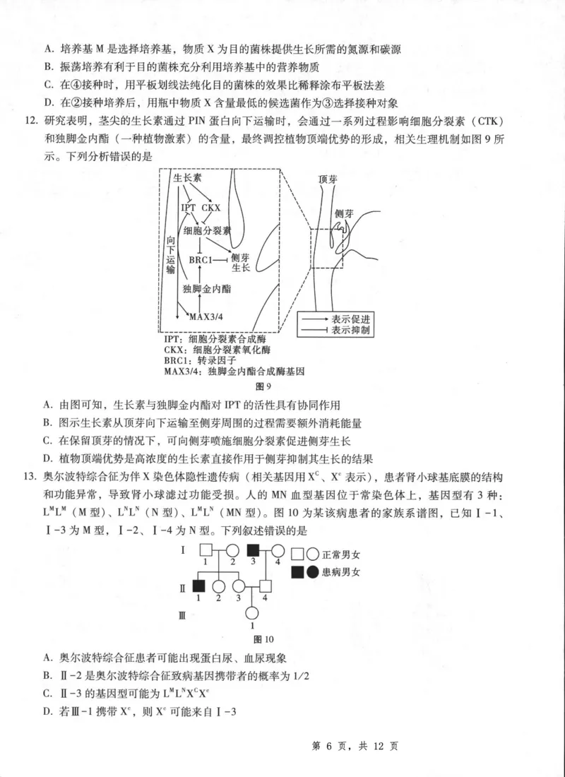 重庆市第八中学2025届高三5月适应性月考卷（八）生物_2025年5月_250528重庆市第八中学2025届高三5月适应性月考卷（八）（全科）