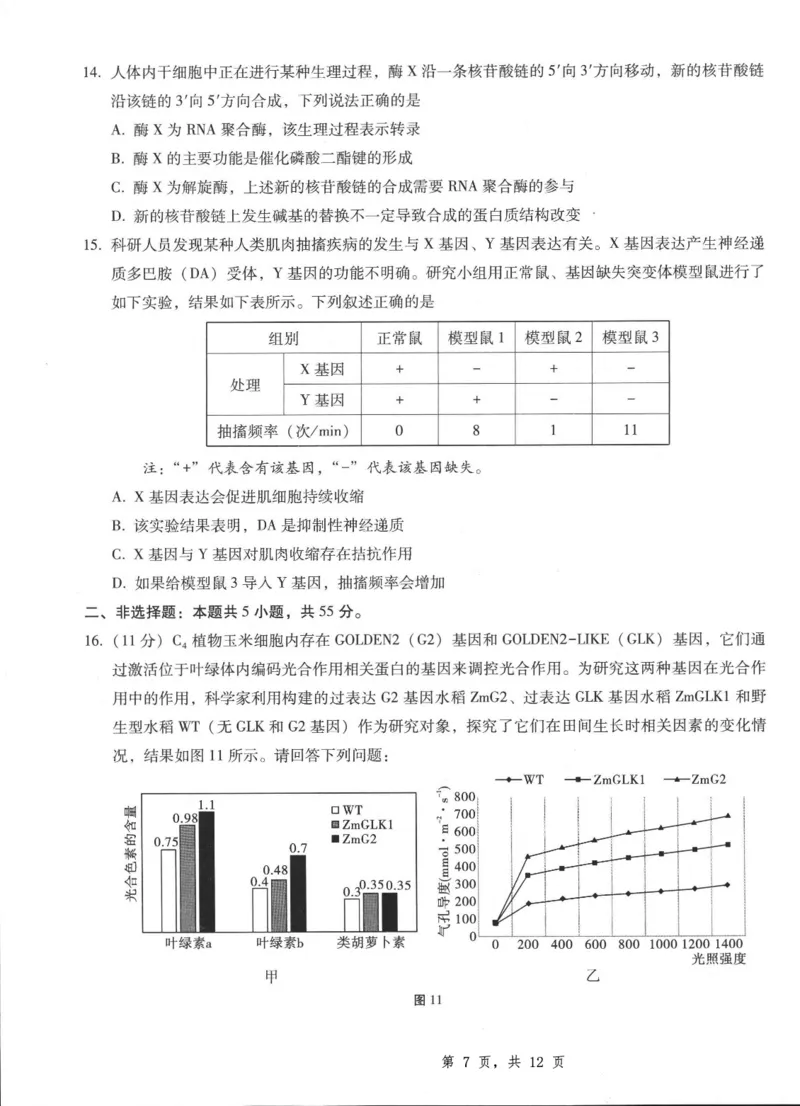 重庆市第八中学2025届高三5月适应性月考卷（八）生物_2025年5月_250528重庆市第八中学2025届高三5月适应性月考卷（八）（全科）