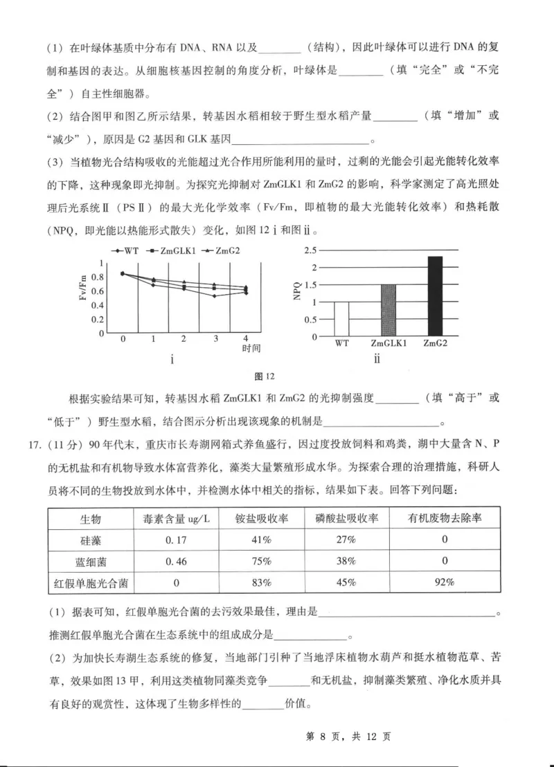 重庆市第八中学2025届高三5月适应性月考卷（八）生物_2025年5月_250528重庆市第八中学2025届高三5月适应性月考卷（八）（全科）