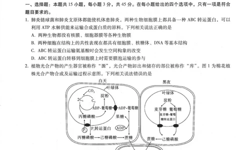 重庆市第八中学2025届高三5月适应性月考卷（八）生物_2025年5月_250528重庆市第八中学2025届高三5月适应性月考卷（八）（全科）