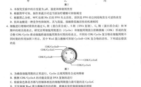 重庆市第八中学2025届高三5月适应性月考卷（八）生物_2025年5月_250528重庆市第八中学2025届高三5月适应性月考卷（八）（全科）