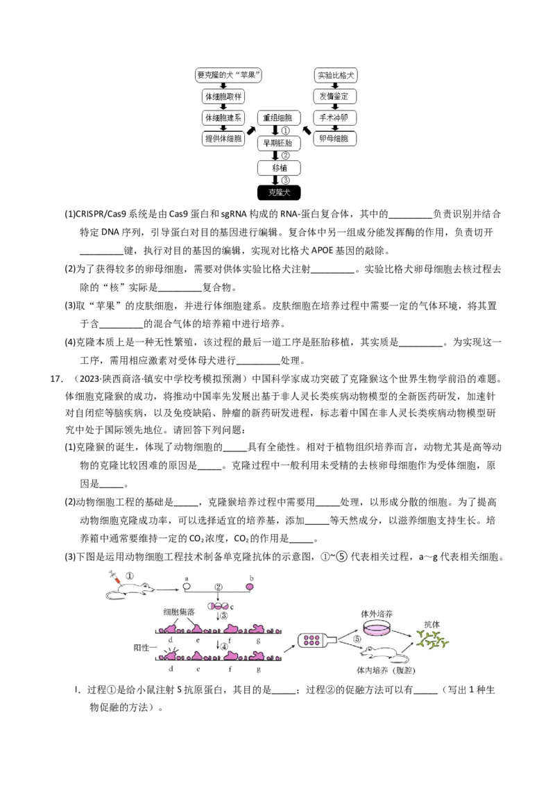 专题19细胞工程与胚胎工程（学生卷）_近10年高考真题汇编（必刷）_十年（2014-2024）高考生物真题分项汇编（全国通用）_2023年高考真题和模拟题生物分项汇编（全国通用）
