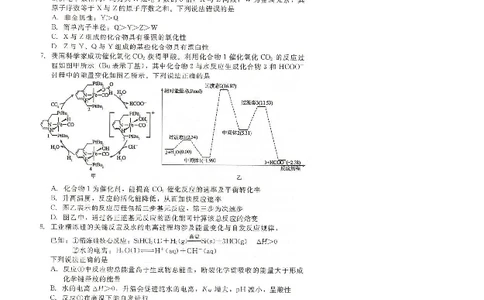 NT20名校联合体高三年级1月质检考试化学(1)_2026年1月_260108河北省NT20名校联合体高三年级1月质检考试（全科）