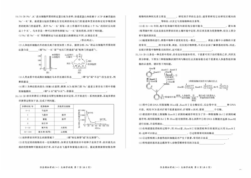 百师联盟2025届高三上学期仿真模拟（一）生物PDF版含解析（可编辑）_11月_241105百师联盟2025届高三上学期仿真模拟（一）