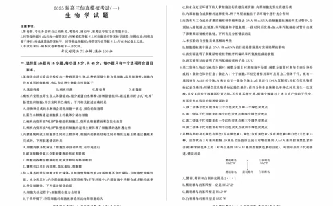 百师联盟2025届高三上学期仿真模拟（一）生物PDF版含解析（可编辑）_11月_241105百师联盟2025届高三上学期仿真模拟（一）