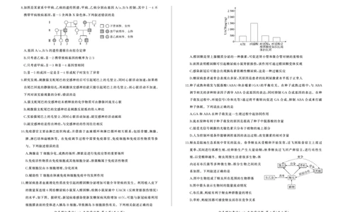 百师联盟2025届高三上学期仿真模拟（一）生物PDF版含解析（可编辑）_11月_241105百师联盟2025届高三上学期仿真模拟（一）