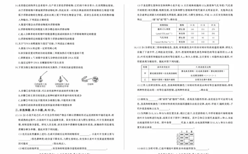 百师联盟2025届高三上学期仿真模拟（一）生物PDF版含解析（可编辑）_11月_241105百师联盟2025届高三上学期仿真模拟（一）