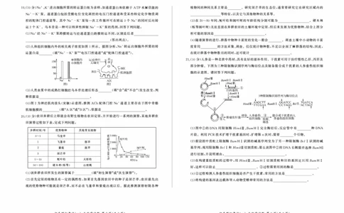 百师联盟2025届高三上学期仿真模拟（一）生物PDF版含解析（可编辑）_11月_241105百师联盟2025届高三上学期仿真模拟（一）