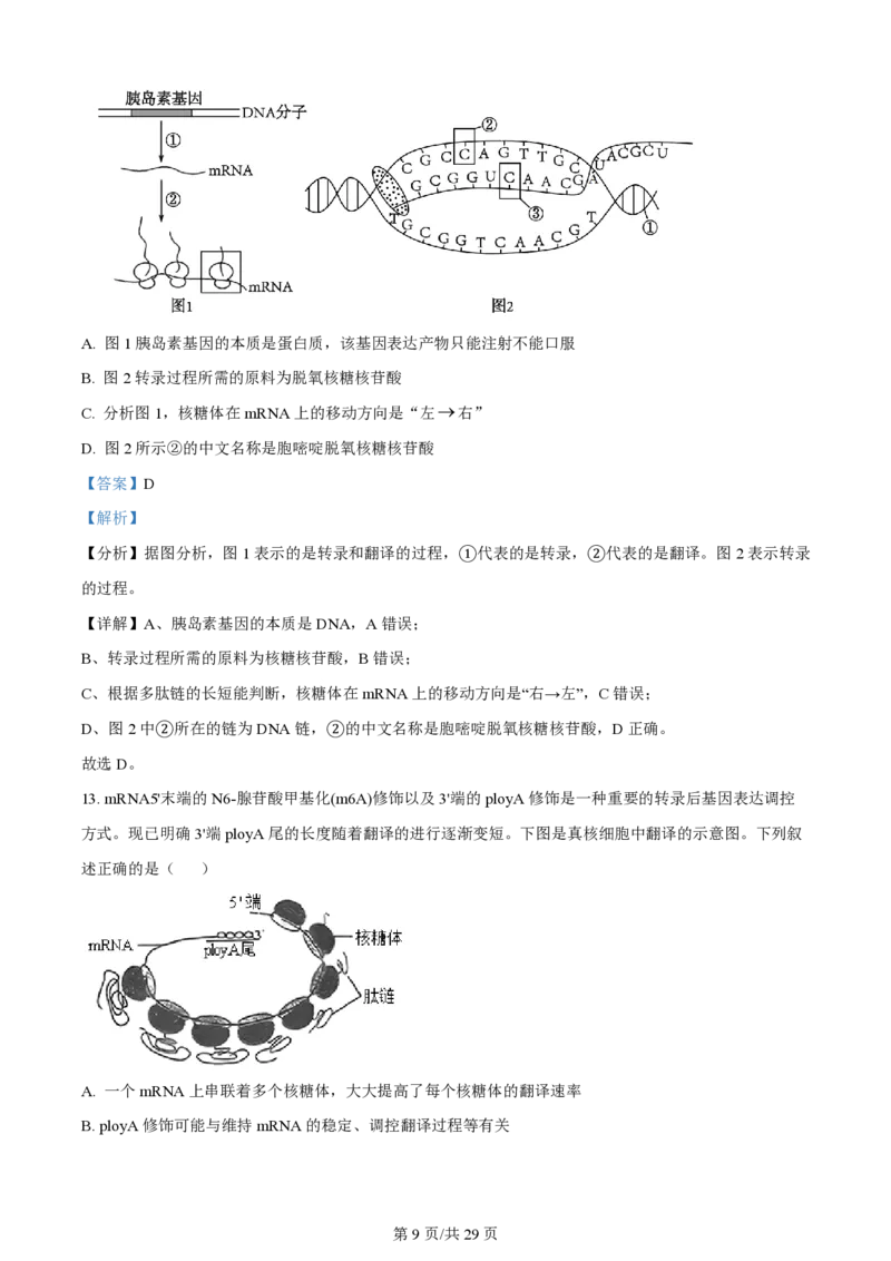 山西大学附属中学2023-2024学年高三上学期10月月考生物答案(1)_2023年10月_01每日更新_18号_2024届山西省山西大学附属中学高三上学期10月月考