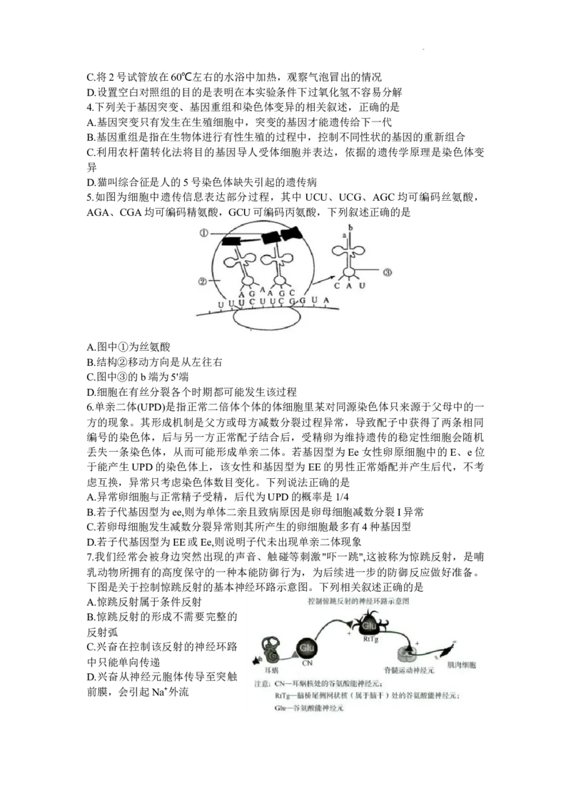 山东省济南市2024届高三上学期开学摸底考生物(1)_2023年9月_029月合集_2024届山东省济南市高三上学期开学摸底考