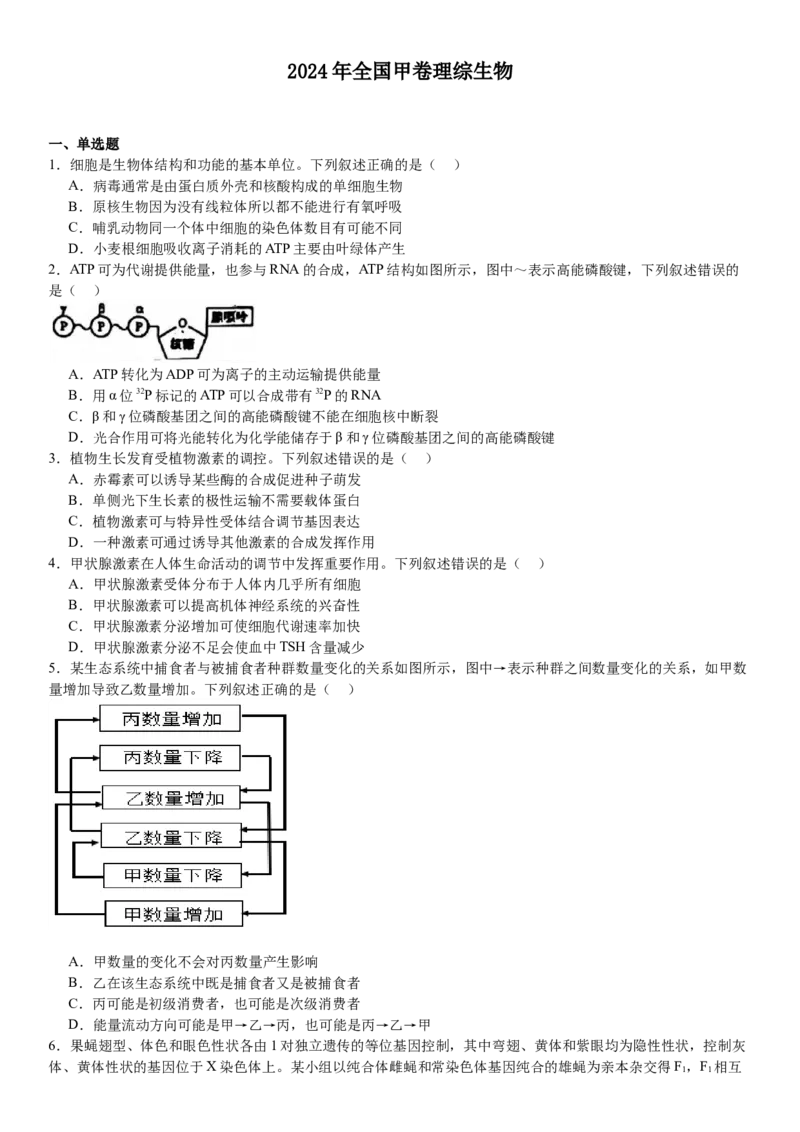 全国甲卷生物-试题-p_近10年高考真题汇编（必刷）_2024年高考真题_高考真题（截止6.29）_全国甲卷（8科）