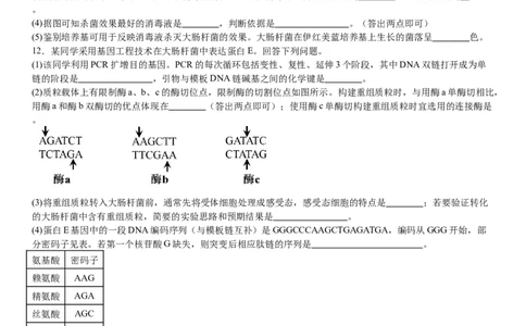 全国甲卷生物-试题-p_近10年高考真题汇编（必刷）_2024年高考真题_高考真题（截止6.29）_全国甲卷（8科）
