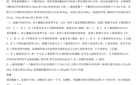 海南中学2026届高三年级第3次月考生物~答案(1)_2026年1月_260103海南省海口市海南中学2025-2026学年高三上学期12月月考