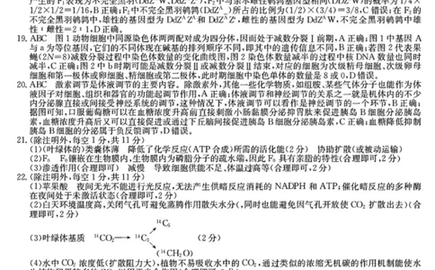 生物答案-黑龙江省齐齐哈尔市2026届高三上学期1月期末考试（26&mdash;L&mdash;412C）(1)_2026年1月_260111黑龙江省齐齐哈尔市2026届高三上学期1月期末考试（26&mdash;L&mdash;412C）（全科）