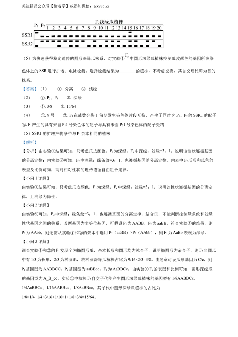 精品解析：2024年新课标高考真题河北生物试卷（解析版）_高考真题全网收集_生物学_2024年新高考河北卷生物高考真题解析（参考版）