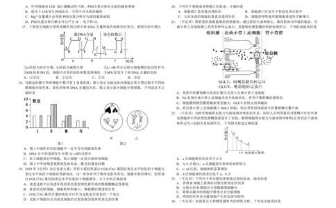 吉林省长春外国语学校2023-2024学年高三上学期9月月考试题生物(1)_2023年10月_01每日更新_6号_2024届吉林省长春外国语学校高三上学期9月月考试题