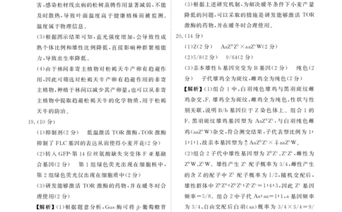 高三生物答案（2026届开学联考）_2025年8月_250805广东衡水金卷2026届新高三开学联考_广东省衡水金卷2025-2026学年高三上学期开学联考生物试题