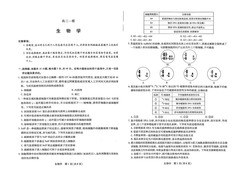 2026届河南省新乡市、鹤壁市、安阳市、焦作市高三一模-生物(1)_2026年1月_2601132026届河南省新乡市、鹤壁市、安阳市、焦作市高三一模（全）