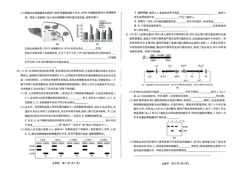 2026届河南省新乡市、鹤壁市、安阳市、焦作市高三一模-生物(1)_2026年1月_2601132026届河南省新乡市、鹤壁市、安阳市、焦作市高三一模（全）