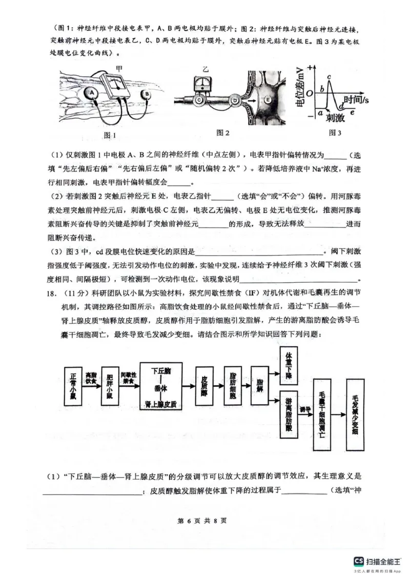 绵阳南山中学高2023级高三第五次教学质量检测生物(1)_2026年1月_260111四川省绵阳南山中学高2023级高三第五次教学质量检测（全科）