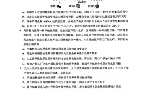 绵阳南山中学高2023级高三第五次教学质量检测生物(1)_2026年1月_260111四川省绵阳南山中学高2023级高三第五次教学质量检测（全科）