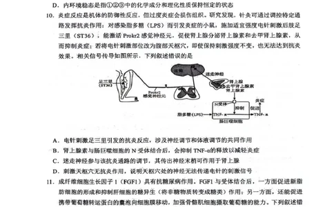 绵阳南山中学高2023级高三第五次教学质量检测生物(1)_2026年1月_260111四川省绵阳南山中学高2023级高三第五次教学质量检测（全科）