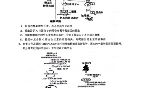 绵阳南山中学高2023级高三第五次教学质量检测生物(1)_2026年1月_260111四川省绵阳南山中学高2023级高三第五次教学质量检测（全科）