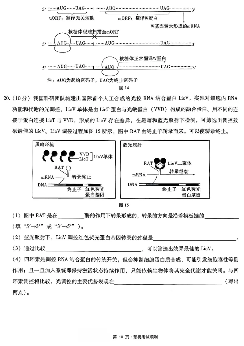 26八中5生物试卷(1)_2026年1月_260117重庆市第八中学2026届高考适应性月考卷（五）（全科）_重庆市第八中学2026届高三1月高考适应性月考卷五（一诊）生物试题和答案