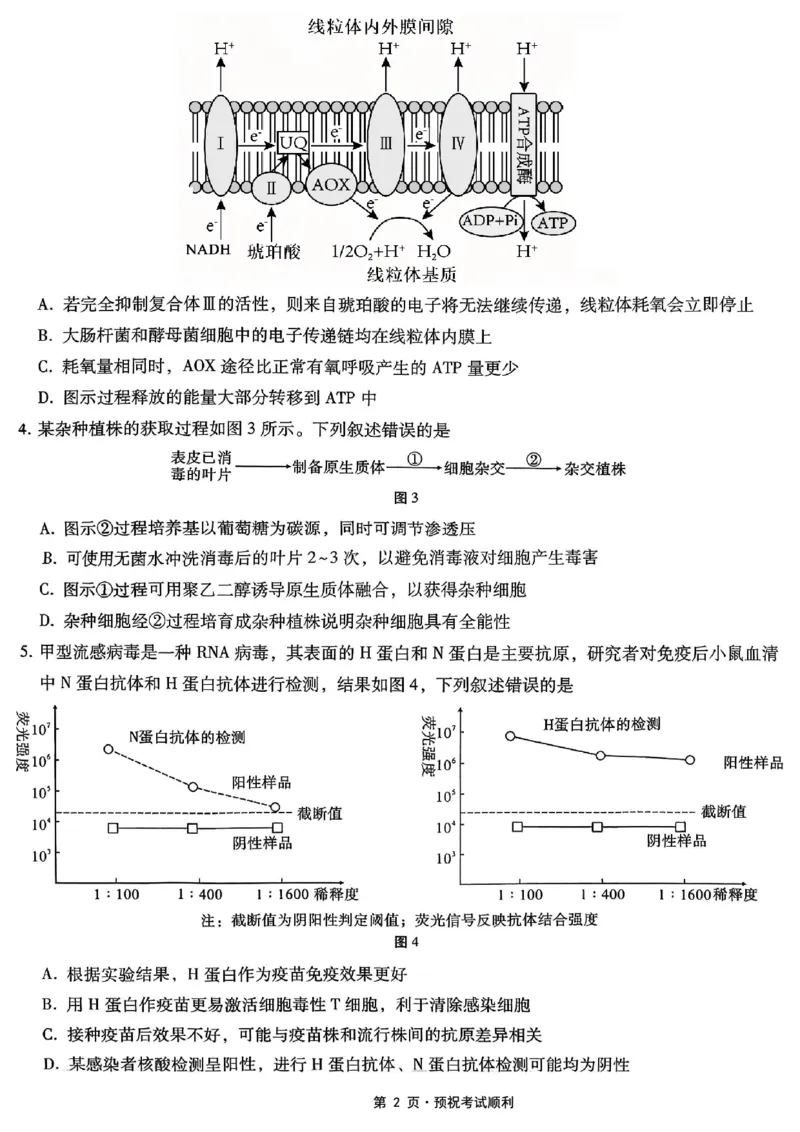 26八中5生物试卷(1)_2026年1月_260117重庆市第八中学2026届高考适应性月考卷（五）（全科）_重庆市第八中学2026届高三1月高考适应性月考卷五（一诊）生物试题和答案