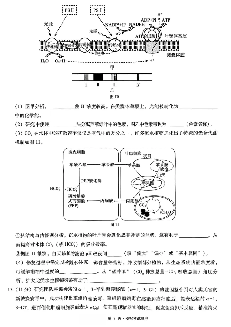 26八中5生物试卷(1)_2026年1月_260117重庆市第八中学2026届高考适应性月考卷（五）（全科）_重庆市第八中学2026届高三1月高考适应性月考卷五（一诊）生物试题和答案