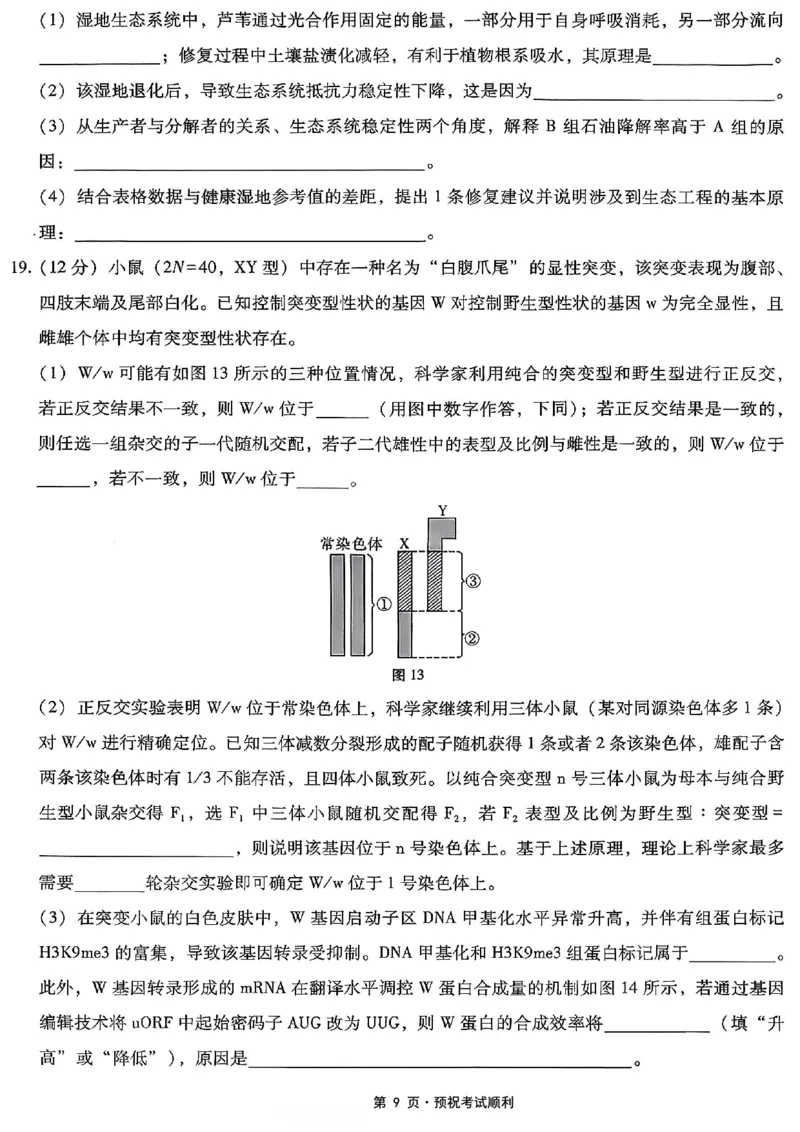 26八中5生物试卷(1)_2026年1月_260117重庆市第八中学2026届高考适应性月考卷（五）（全科）_重庆市第八中学2026届高三1月高考适应性月考卷五（一诊）生物试题和答案