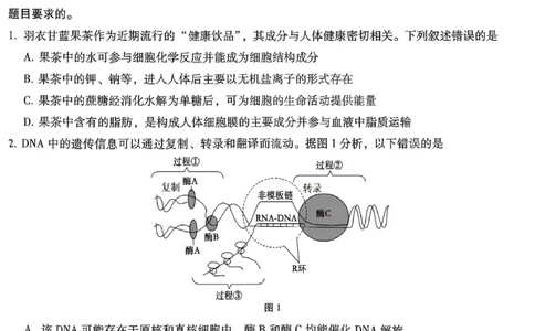 26八中5生物试卷(1)_2026年1月_260117重庆市第八中学2026届高考适应性月考卷（五）（全科）_重庆市第八中学2026届高三1月高考适应性月考卷五（一诊）生物试题和答案