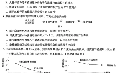 26八中5生物试卷(1)_2026年1月_260117重庆市第八中学2026届高考适应性月考卷（五）（全科）_重庆市第八中学2026届高三1月高考适应性月考卷五（一诊）生物试题和答案