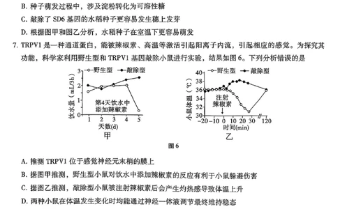 26八中5生物试卷(1)_2026年1月_260117重庆市第八中学2026届高考适应性月考卷（五）（全科）_重庆市第八中学2026届高三1月高考适应性月考卷五（一诊）生物试题和答案
