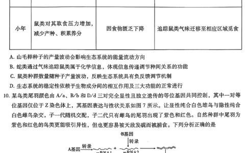 26八中5生物试卷(1)_2026年1月_260117重庆市第八中学2026届高考适应性月考卷（五）（全科）_重庆市第八中学2026届高三1月高考适应性月考卷五（一诊）生物试题和答案