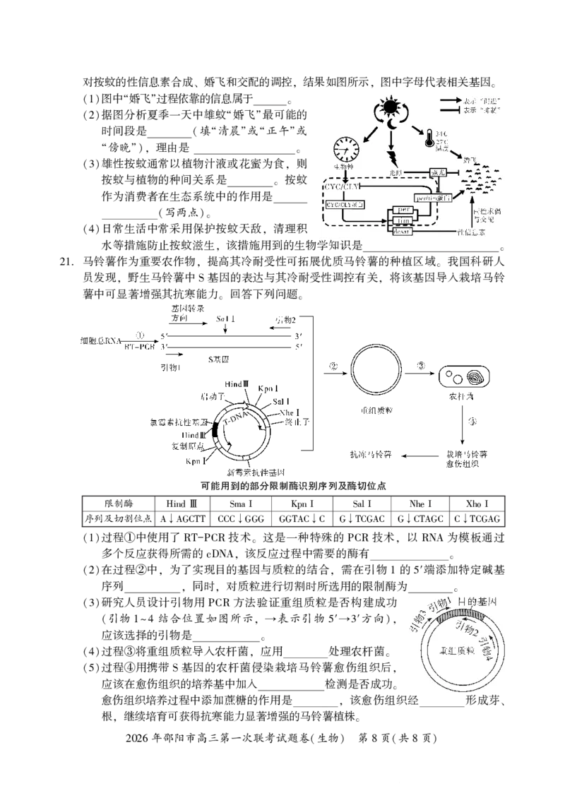 2026年邵阳市高三第一次联考生物试题(1)_2026年1月_260130湖南省2026年邵阳市高三第一次联考试题卷（全科）_2026年湖南省邵阳市高三第一次联考生物试卷