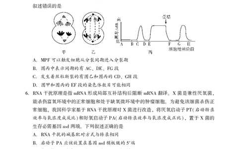 2026年邵阳市高三第一次联考生物试题(1)_2026年1月_260130湖南省2026年邵阳市高三第一次联考试题卷（全科）_2026年湖南省邵阳市高三第一次联考生物试卷