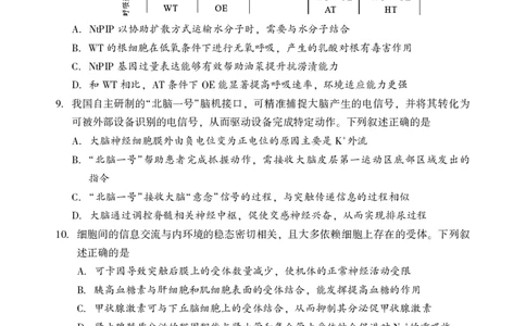 2026年邵阳市高三第一次联考生物试题(1)_2026年1月_260130湖南省2026年邵阳市高三第一次联考试题卷（全科）_2026年湖南省邵阳市高三第一次联考生物试卷