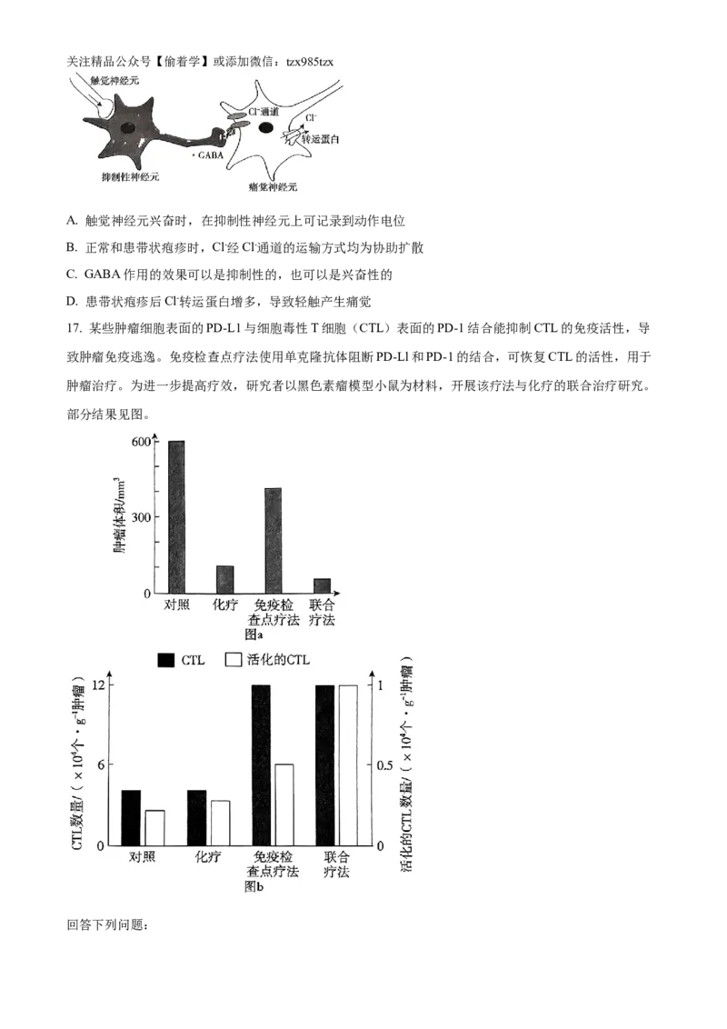 精品解析：2024年新课标广东卷高考生物真题试卷（原卷版）_高考真题全网收集_生物学_精品解析：2024年新高考广东卷生物高考真题解析（参考版）