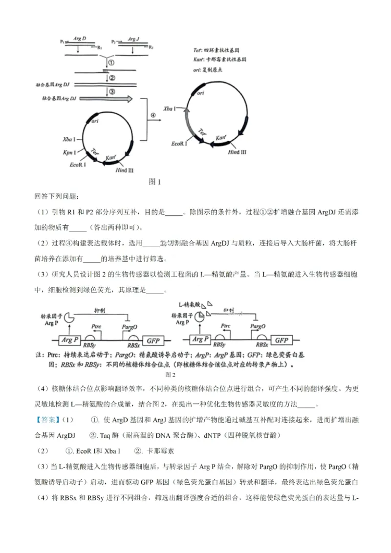 生物试题-汕头市2025-2026学年度普通高中毕业班教学质量监测（含解析）(1)_2026年1月_260120汕头市2025-2026学年度普通高中毕业班教学质量监测（全科）