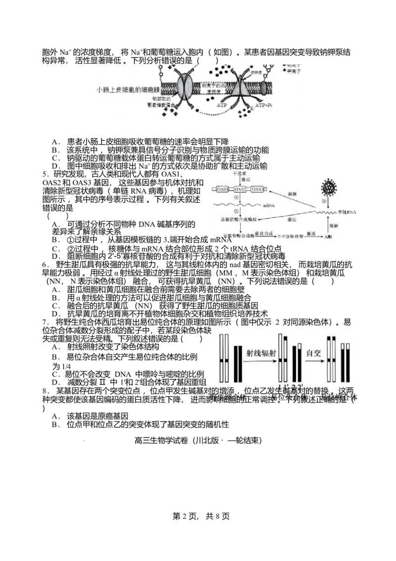 2026届四川省字节精准教育联盟高三上学期1月一模生物试题(1)_2026年1月_260112四川省字节精准教育联盟2026届高三上学期1月第二阶段学情调研测试（全科）